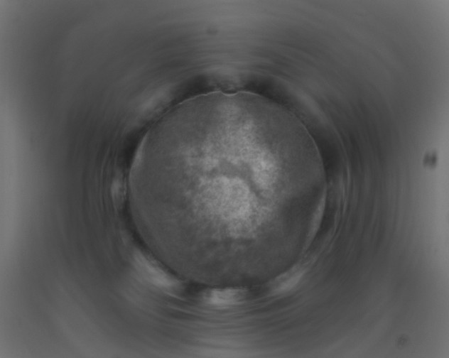 X0000092300134200709281334