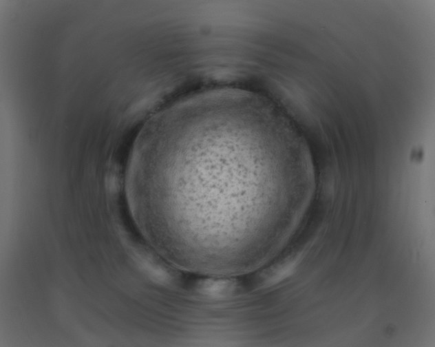 X0000092300135200709281334