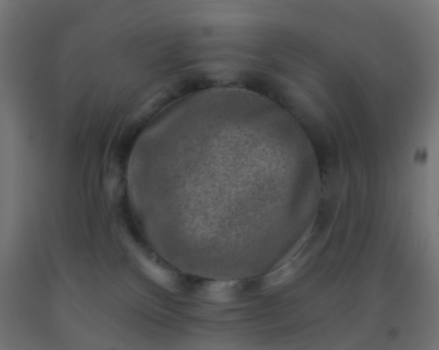 X0000092300136200709281334