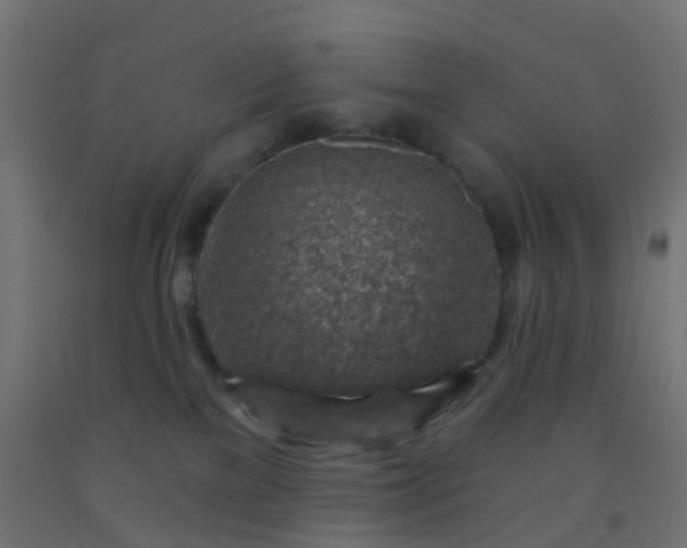 X0000092300137200709281334