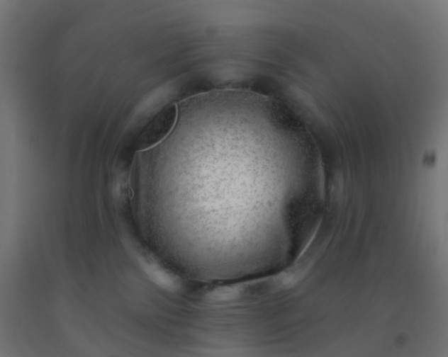 X0000092300138200709281334