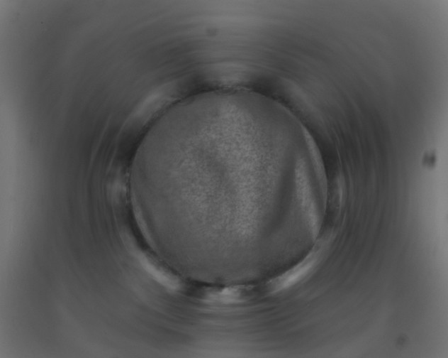 X0000092300140200709281334