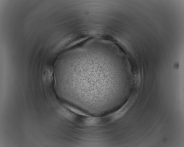 X0000092300142200709281334