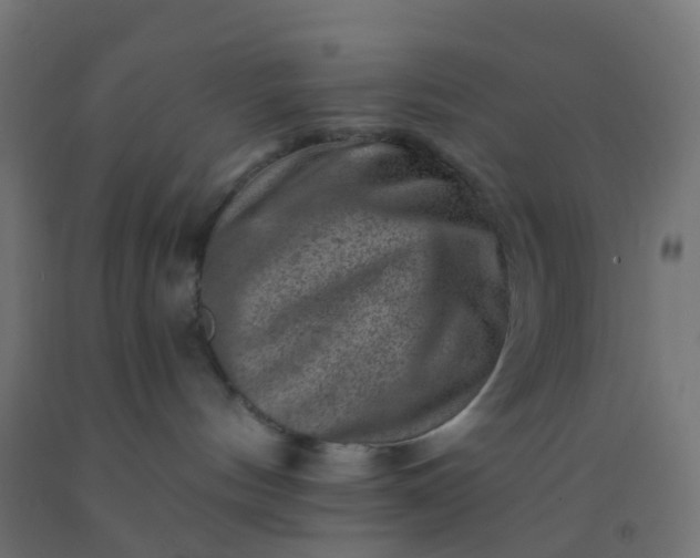 X0000092300144200709281334