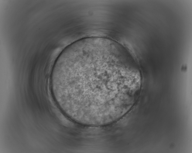 X0000092300145200709281333