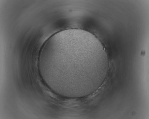 X0000092300146200709281333