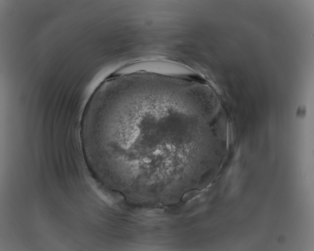 X0000092300147200709281333