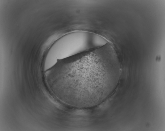 X0000092300149200709281333