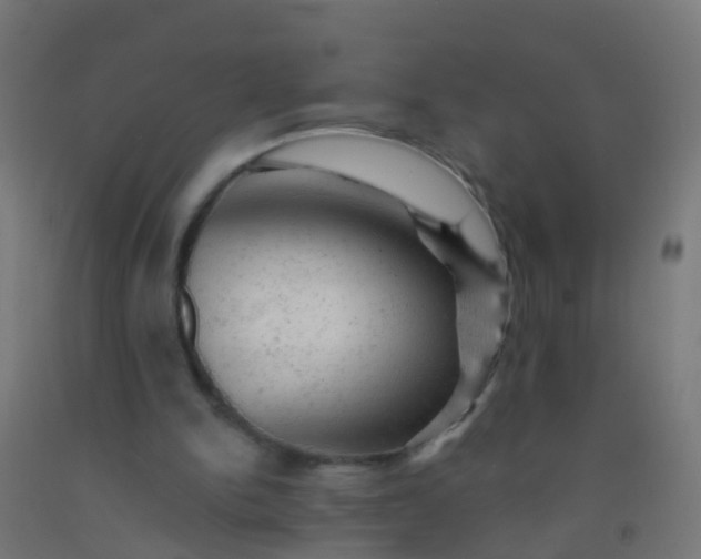 X0000092300150200709281333