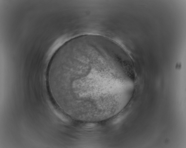 X0000092300151200709281333