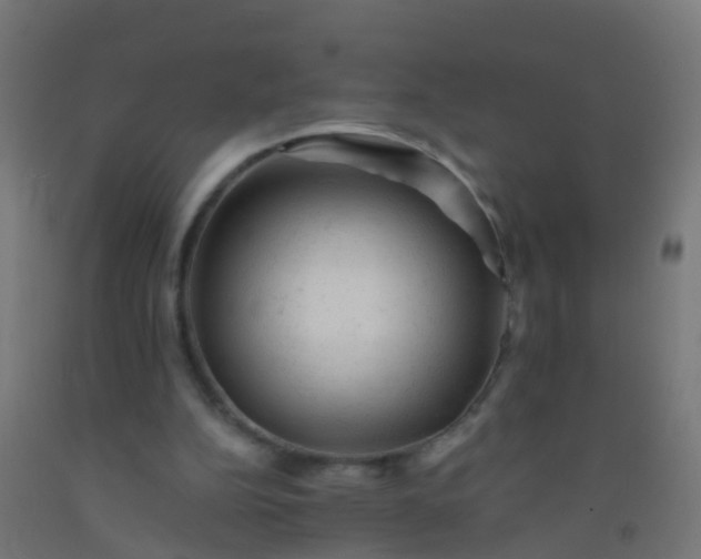 X0000092300152200709281333