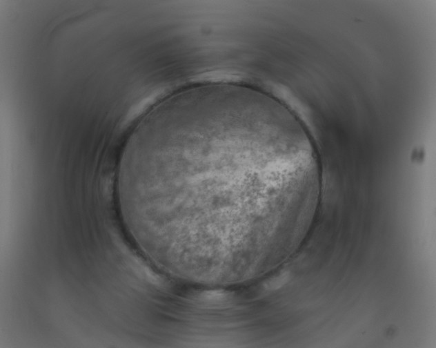 X0000092300153200709281333