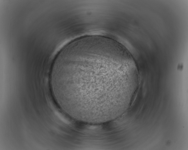 X0000092300155200709281333