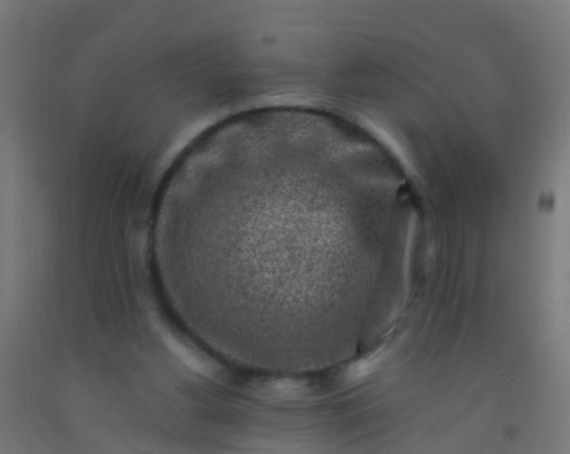 X0000092300156200709281333