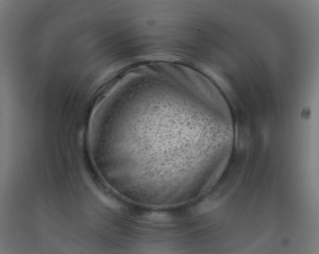 X0000092300157200709281333