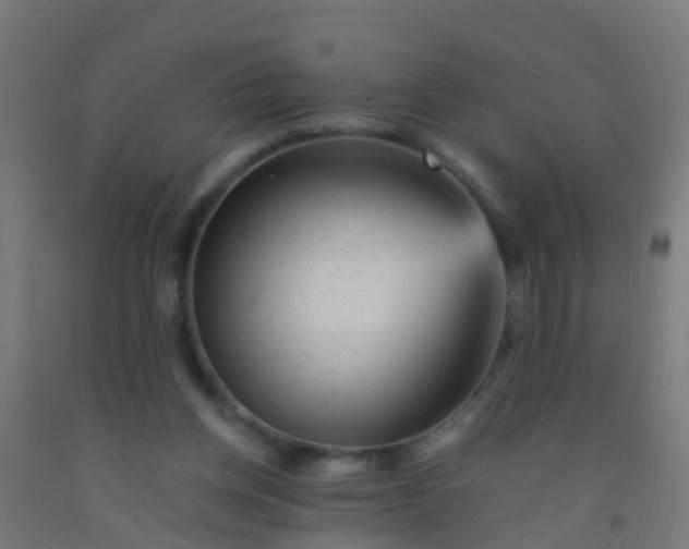 X0000092300158200709281333