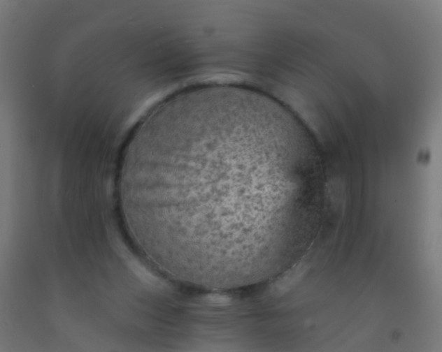 X0000092300159200709281333