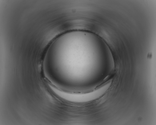 X0000092300160200709281333