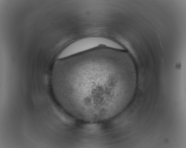 X0000092300161200709281333