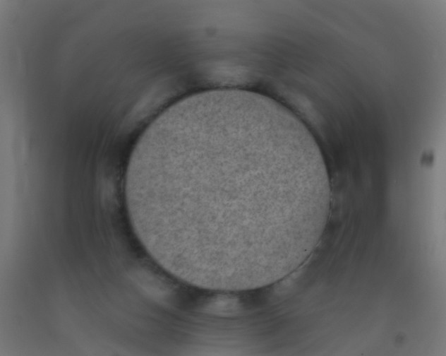 X0000092300162200709281333