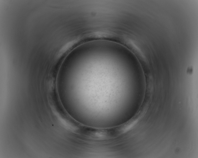 X0000092300164200709281333