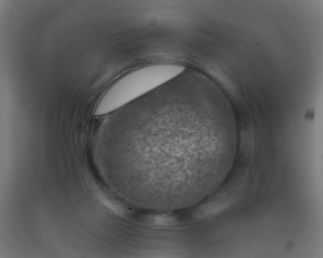 X0000092300165200709281333