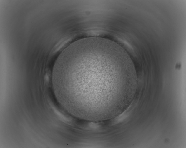 X0000092300166200709281333