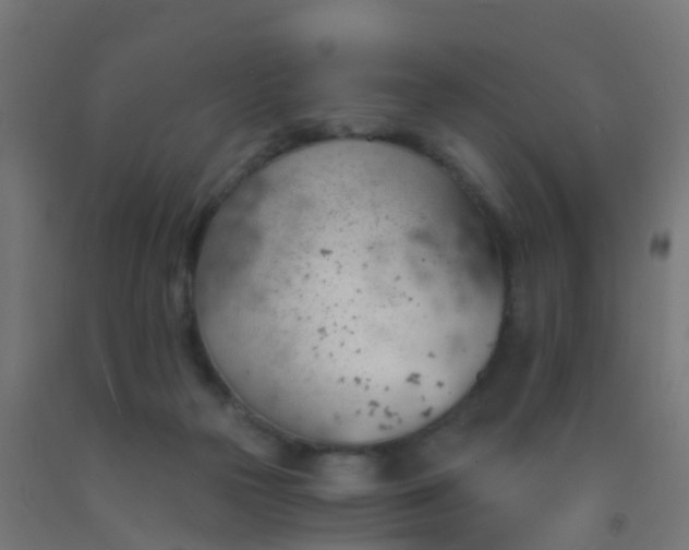 X0000092300169200709281333