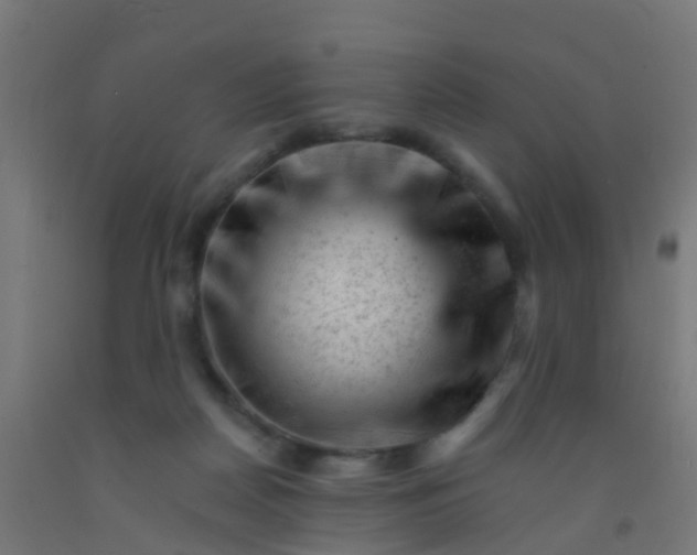 X0000092300170200709281333