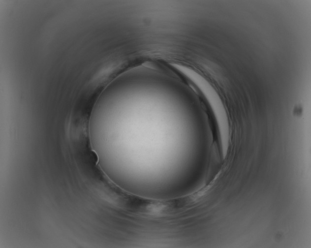 X0000092300172200709281334