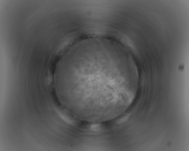 X0000092300173200709281334