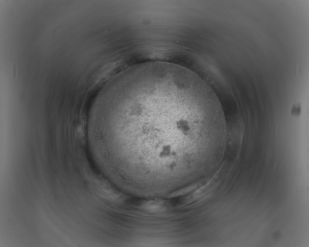 X0000092300175200709281334