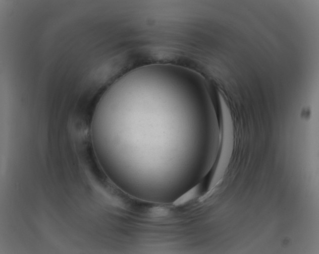 X0000092300176200709281334