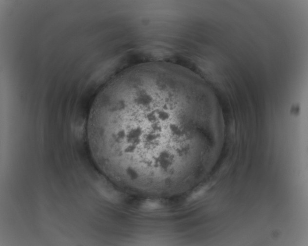 X0000092300177200709281334