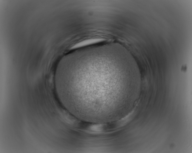 X0000092300178200709281334