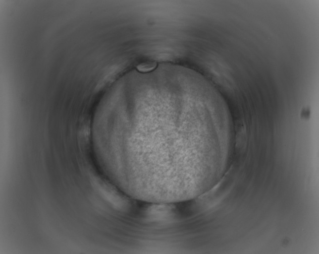 X0000092300179200709281334