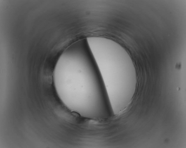 X0000092300180200709281334