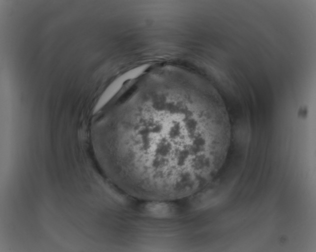 X0000092300181200709281334