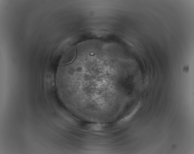 X0000092300182200709281334