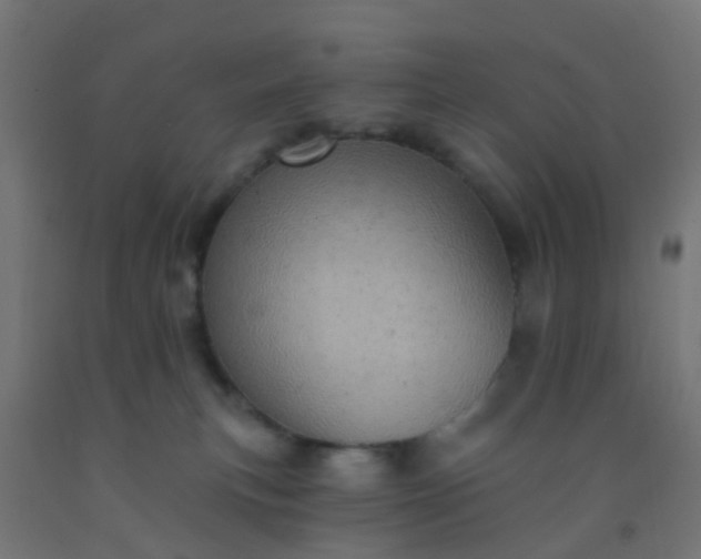 X0000092300183200709281334