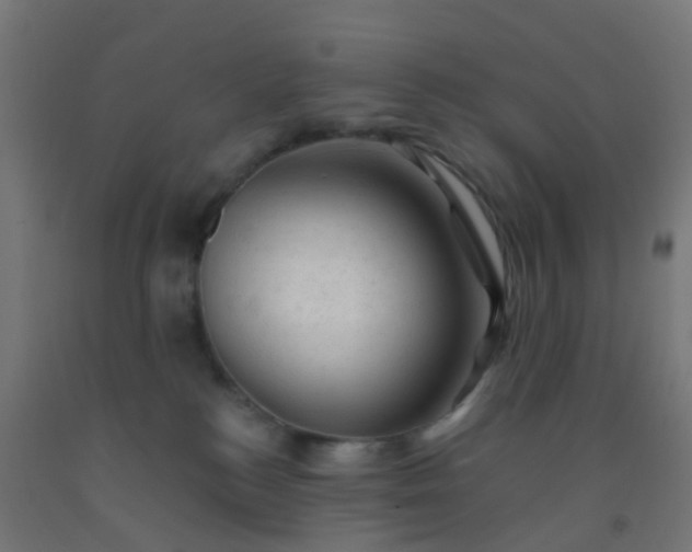 X0000092300184200709281334