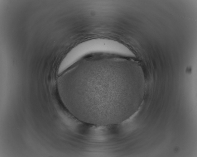 X0000092300186200709281334