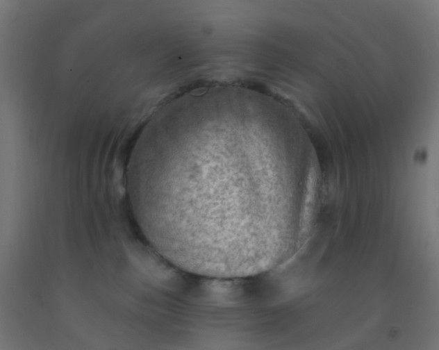 X0000092300187200709281334