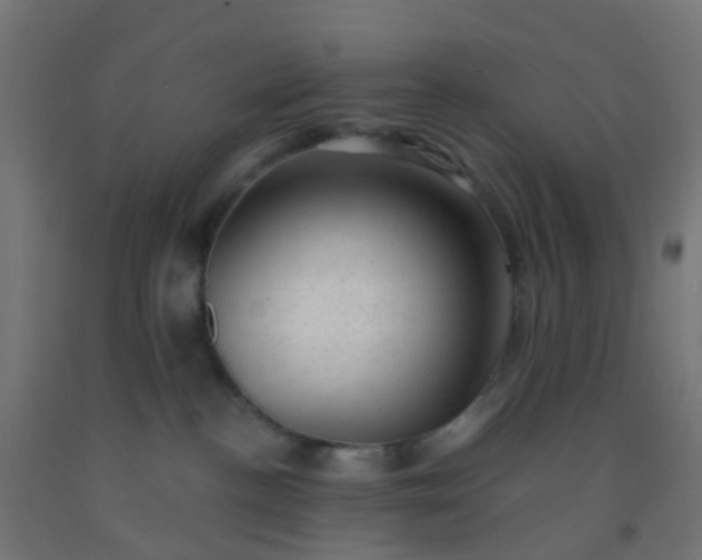 X0000092300188200709281334