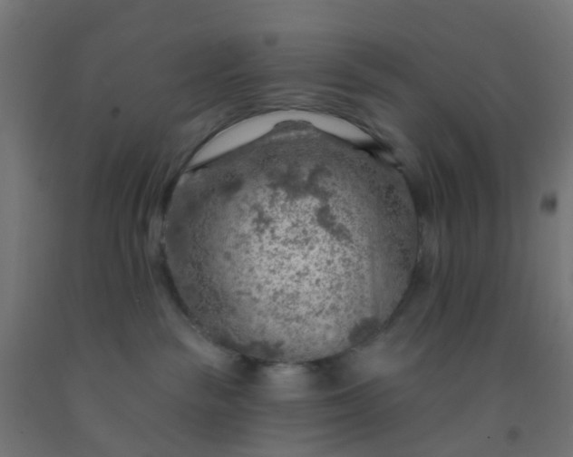 X0000092300189200709281334