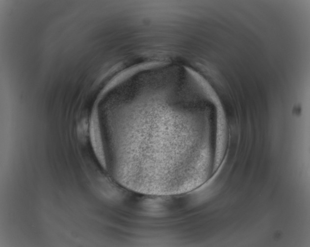 X0000092300190200709281334