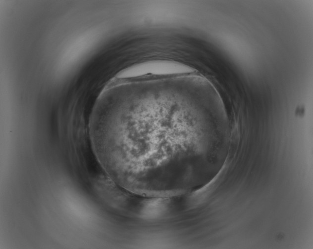 X0000092300191200709281334