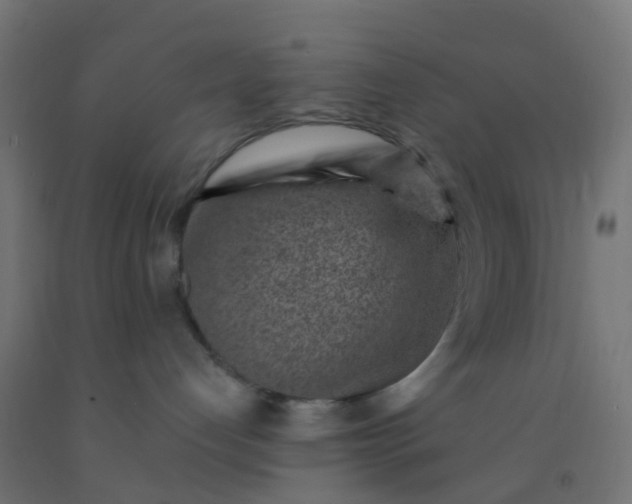 X0000092300192200709281334