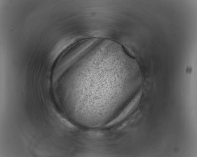 X0000092300194200709281333