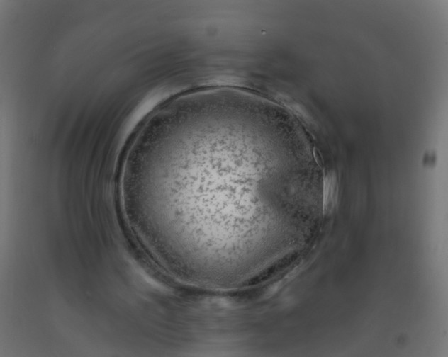 X0000092300195200709281333